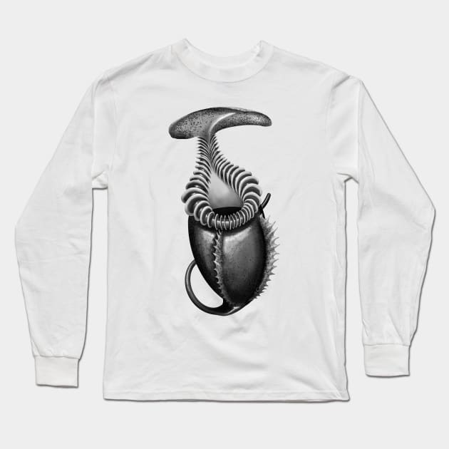 Botanical Carnivorous Plant Drawing Nepenthes Villosa Pitcher Long Sleeve T-Shirt by Venus Fly Trap Shirts